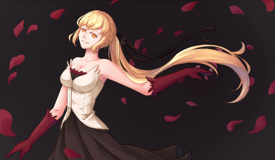 Shinobu Monogatari Series