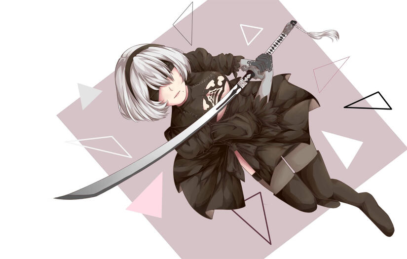 2B Nier Automata